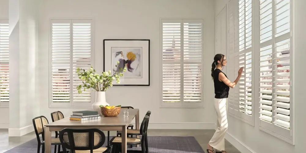 Vinyl Shutters