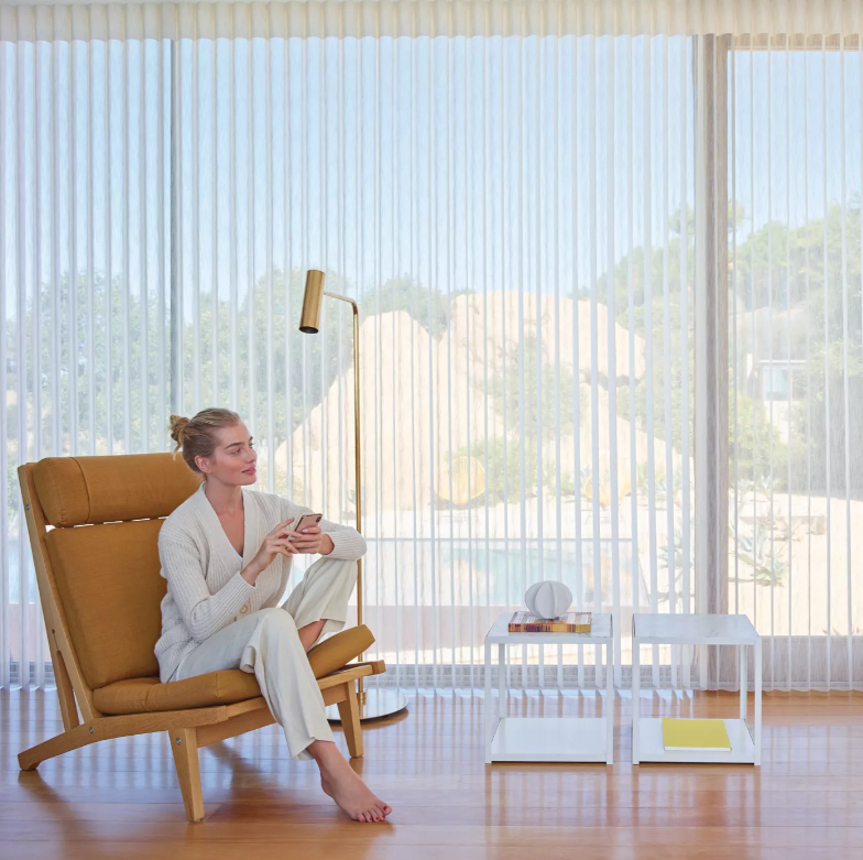 Modern Interior Window Treatments
